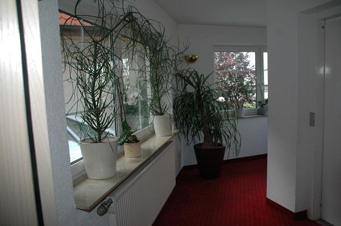 Mayers Waldhorn - Zwischen Reutlingen Und Tuebingen Kusterdingen Экстерьер фото